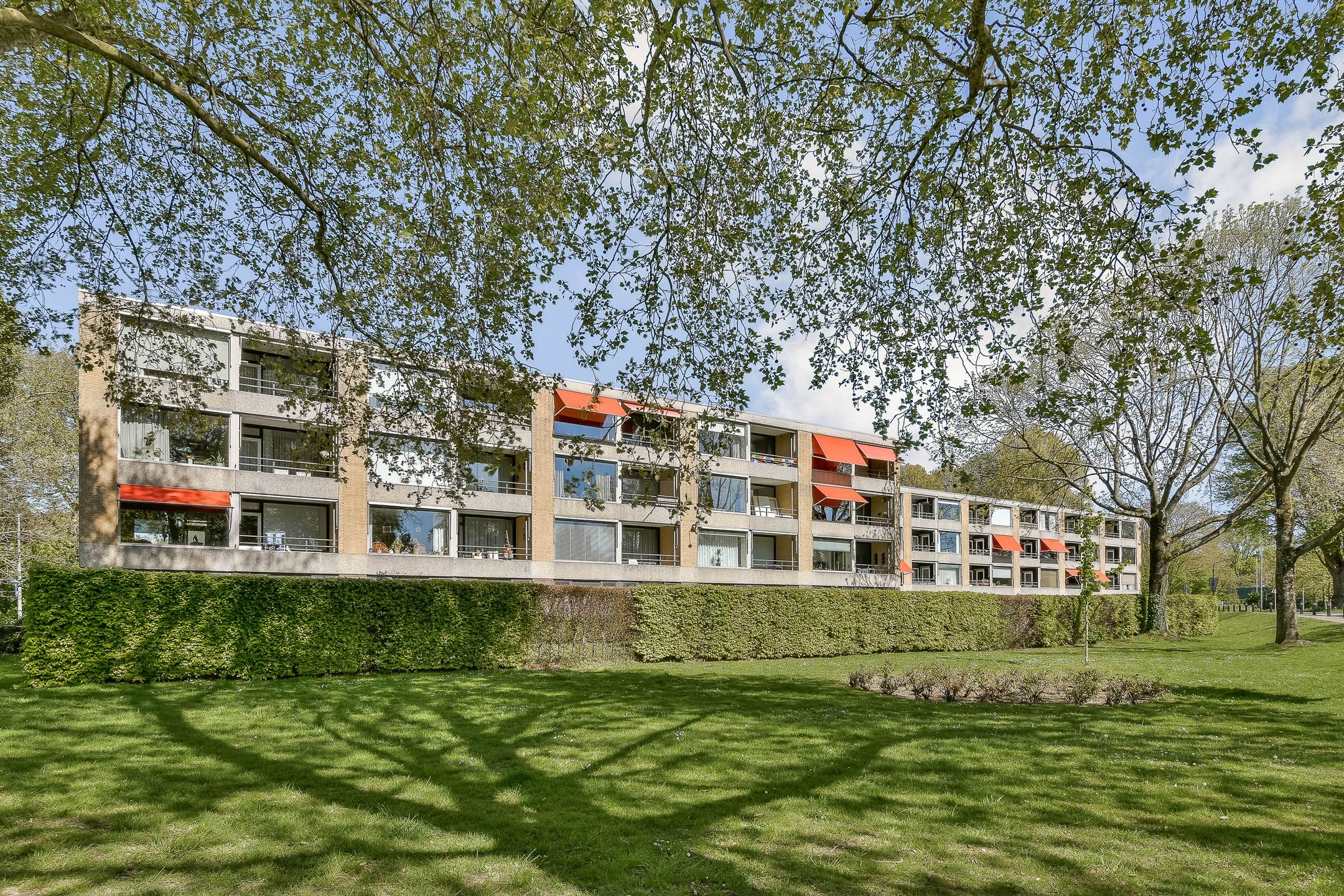 Foto van Campanula 90, Dordrecht