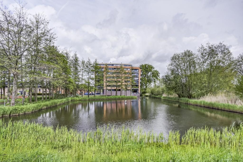 Foto van Akkerviool 85, Hendrik-Ido-Ambacht