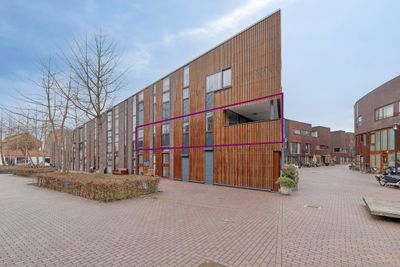 Foto van Klokjesbloem 13, Papendrecht