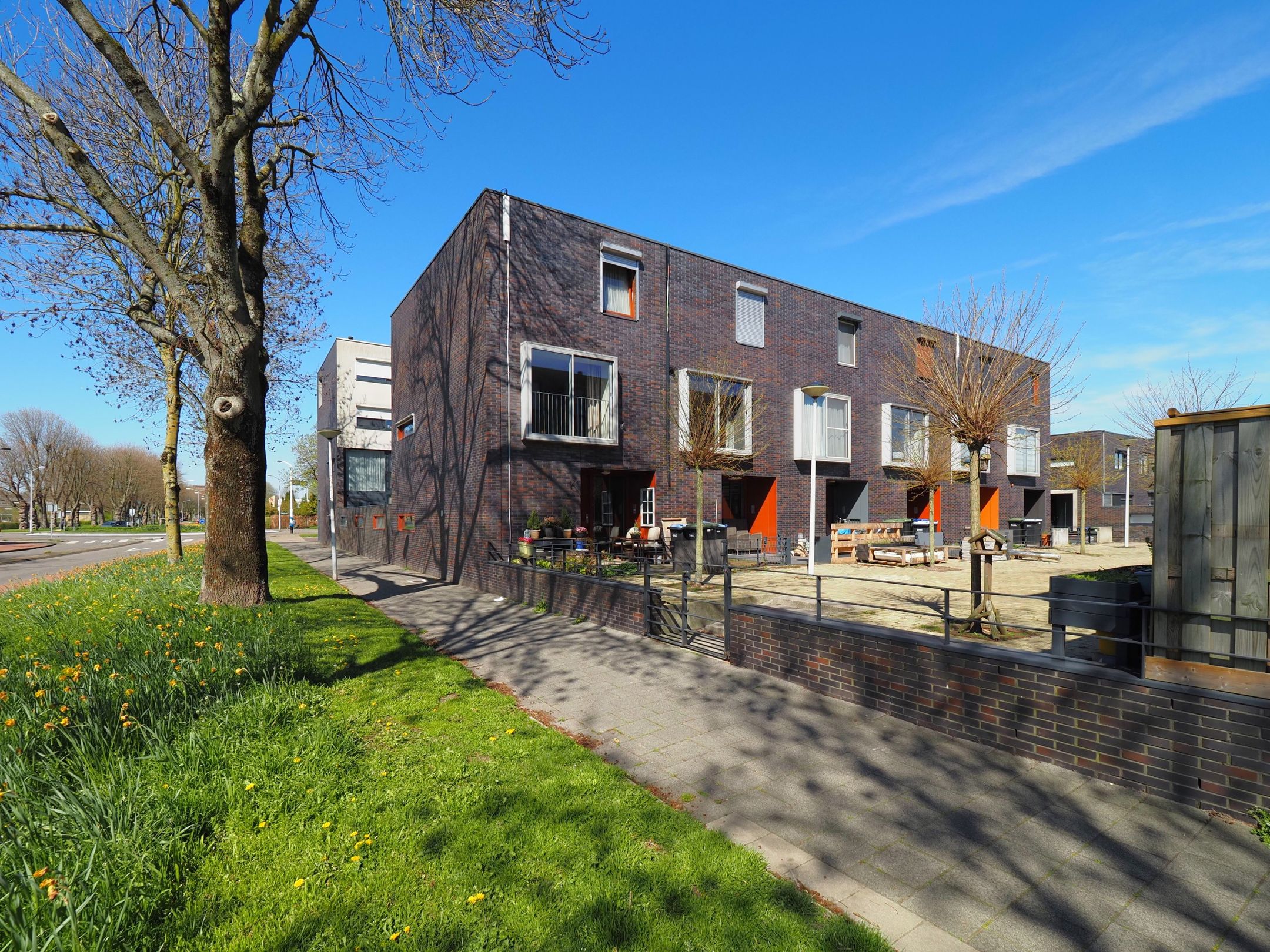 Foto van Blauw druifje 1, Papendrecht