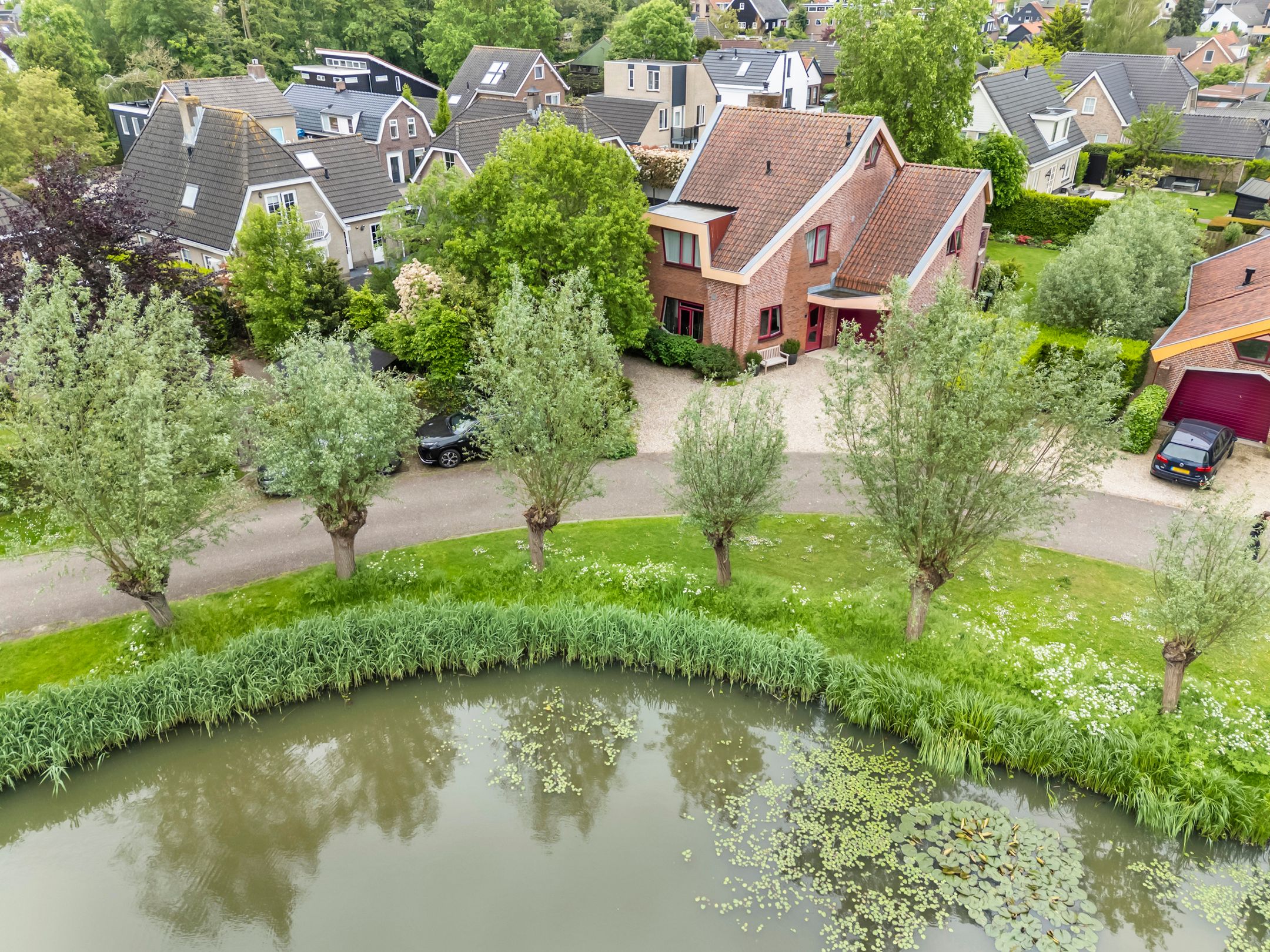 Foto van Knobbelzwaan 2, Hardinxveld-Giessendam