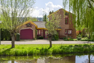 Foto van Knobbelzwaan 4, Hardinxveld-Giessendam