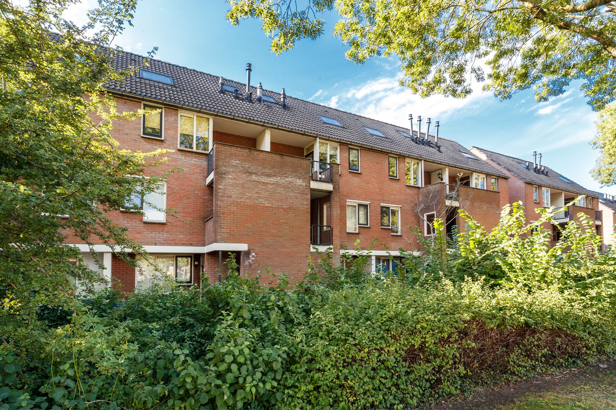 Foto van Druivegaarde 19, Nieuwegein