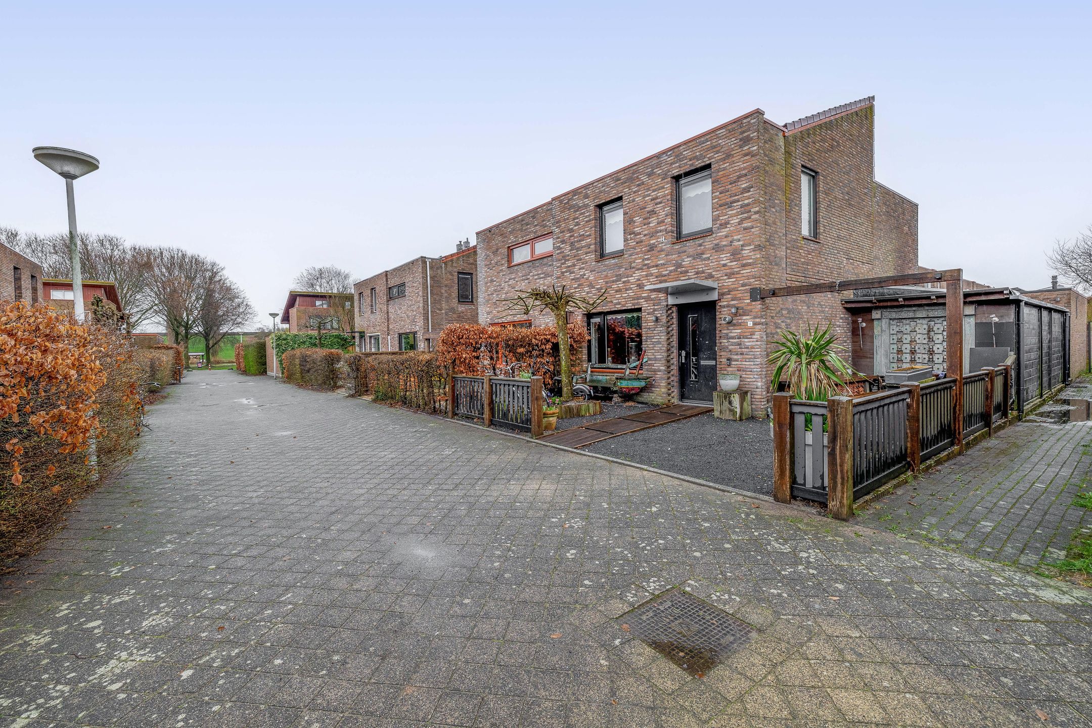 Foto van Akkerdistel 1, De Meern