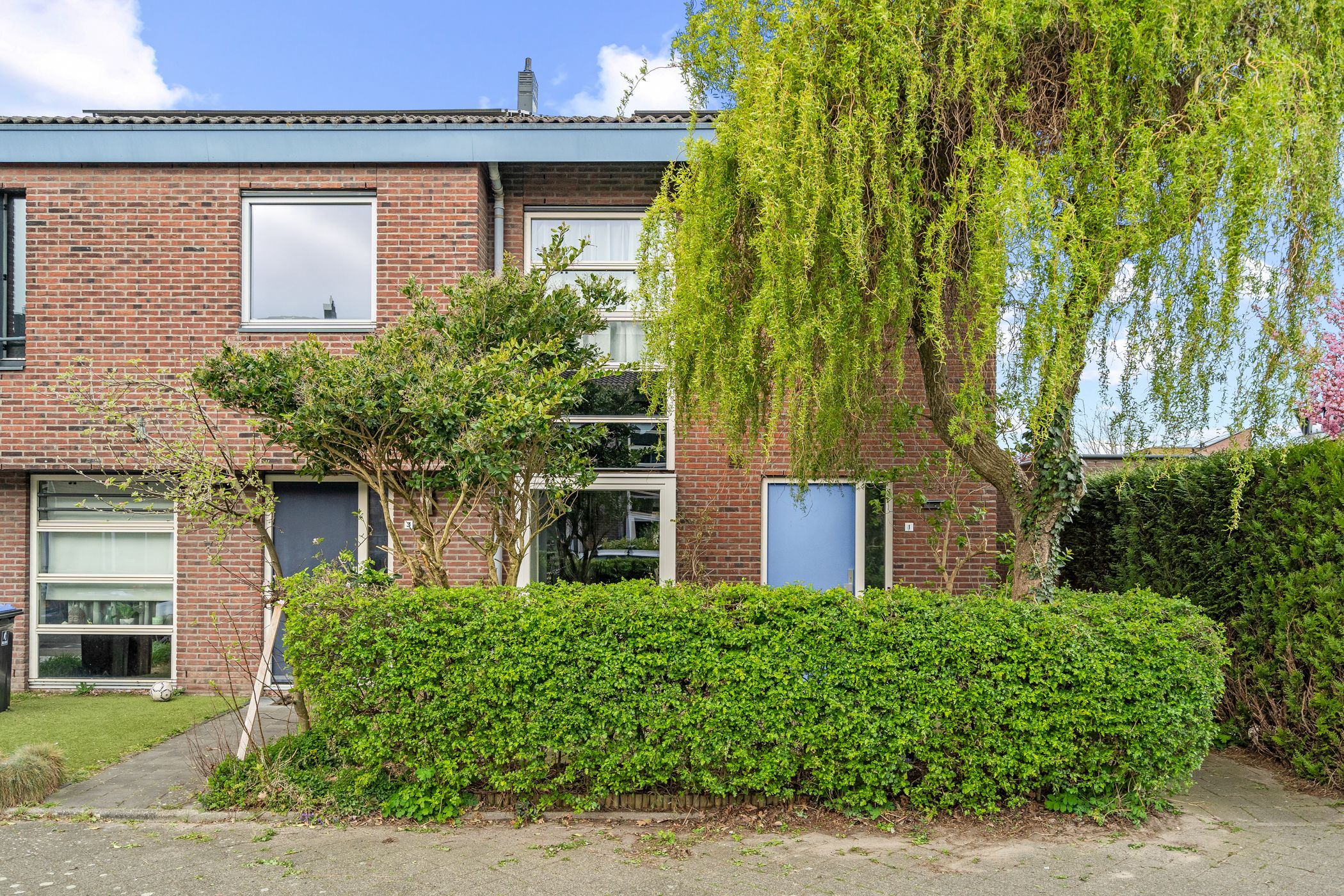 Foto van Kruiswortel 1, De Meern