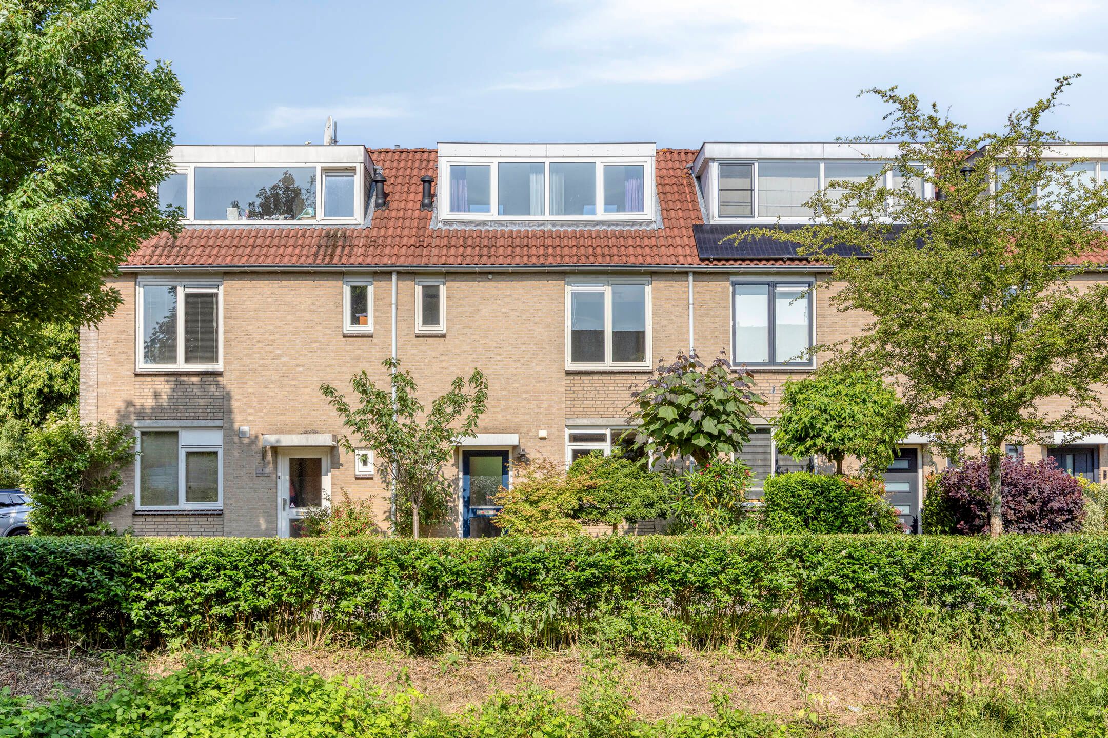 Foto van Zwaan 3, Harmelen