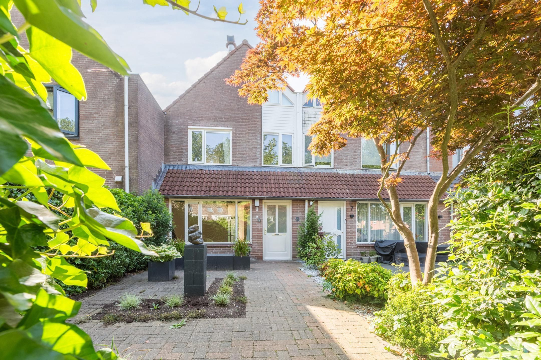 Foto van Roerdomp 5, Mijdrecht