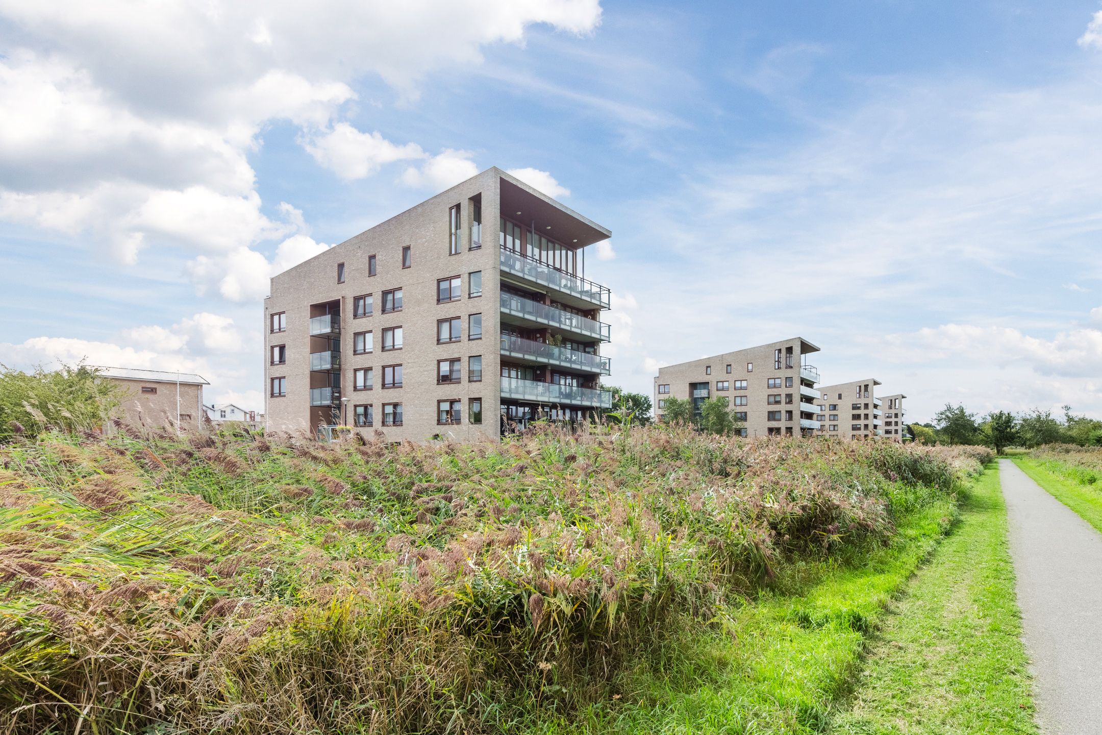 Foto van Korenbloem 24, Mijdrecht