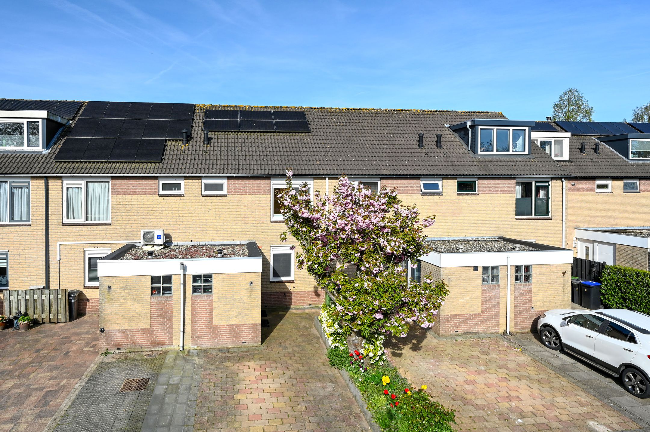 Foto van Zwenkgras 7, Wilnis