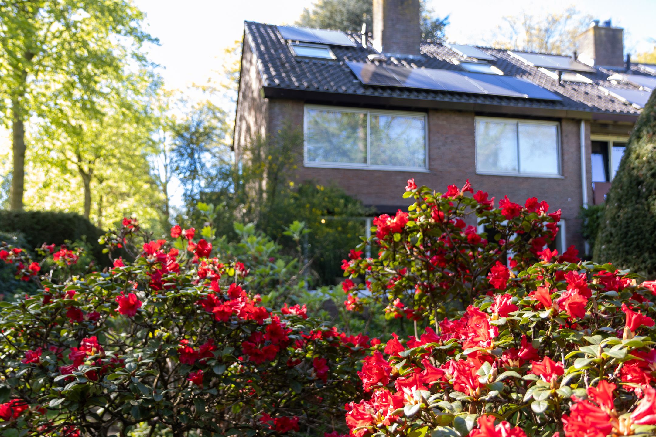 Foto van Dennenlaan 55, Hollandsche Rading