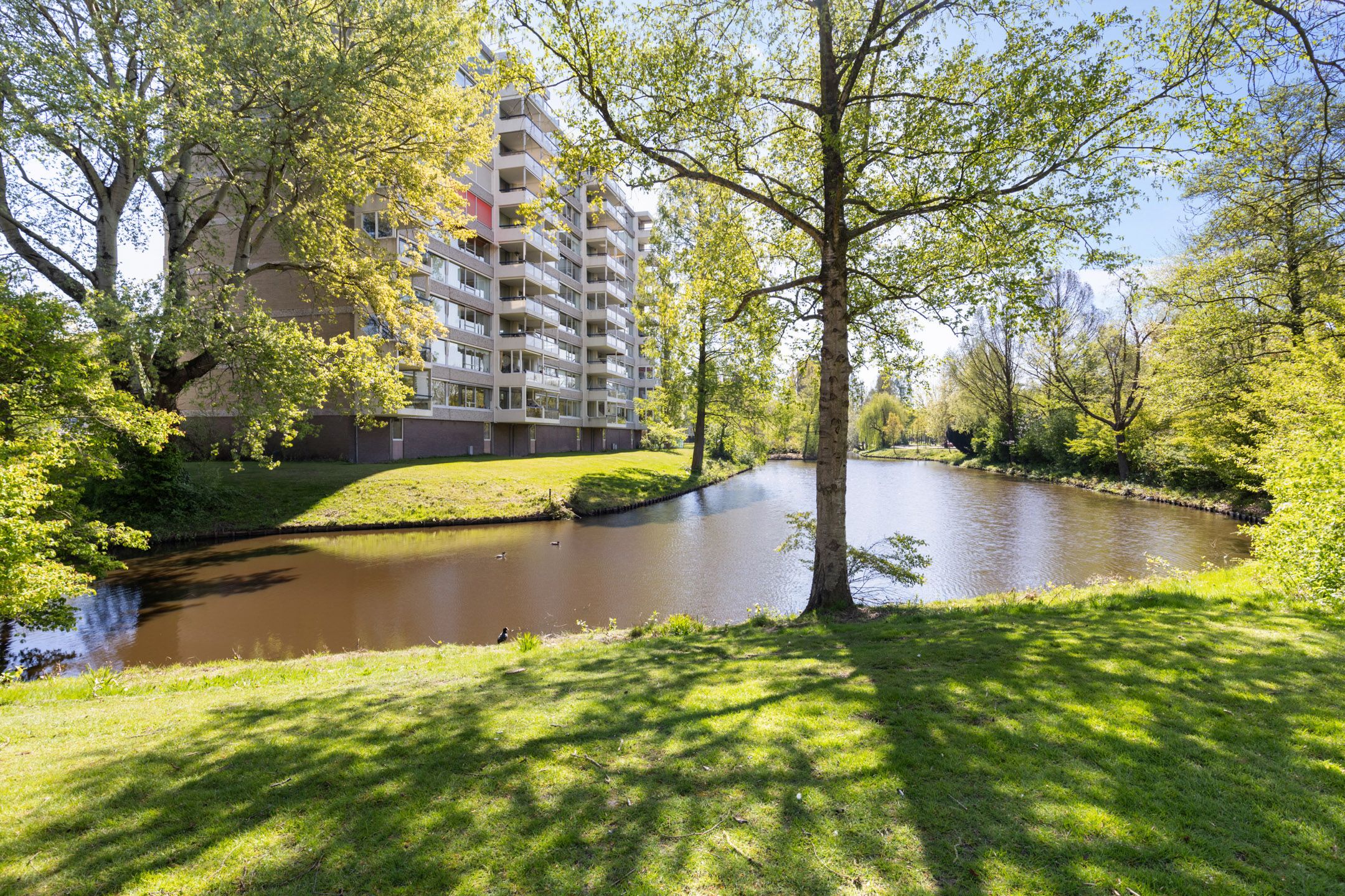 Foto van Veenbesstraat 46, Soest