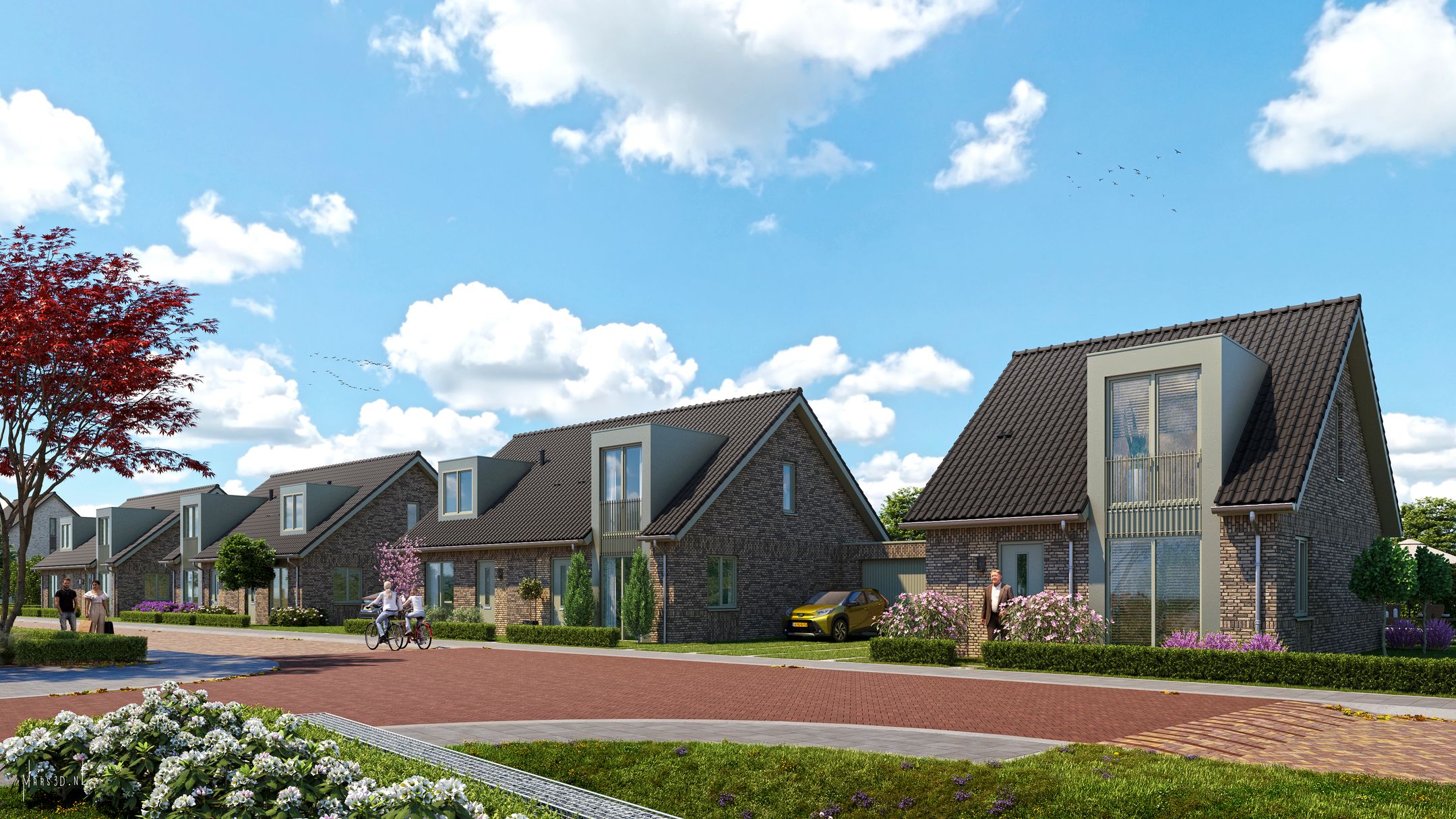 Foto van Pinksterbloem 37, Stroe