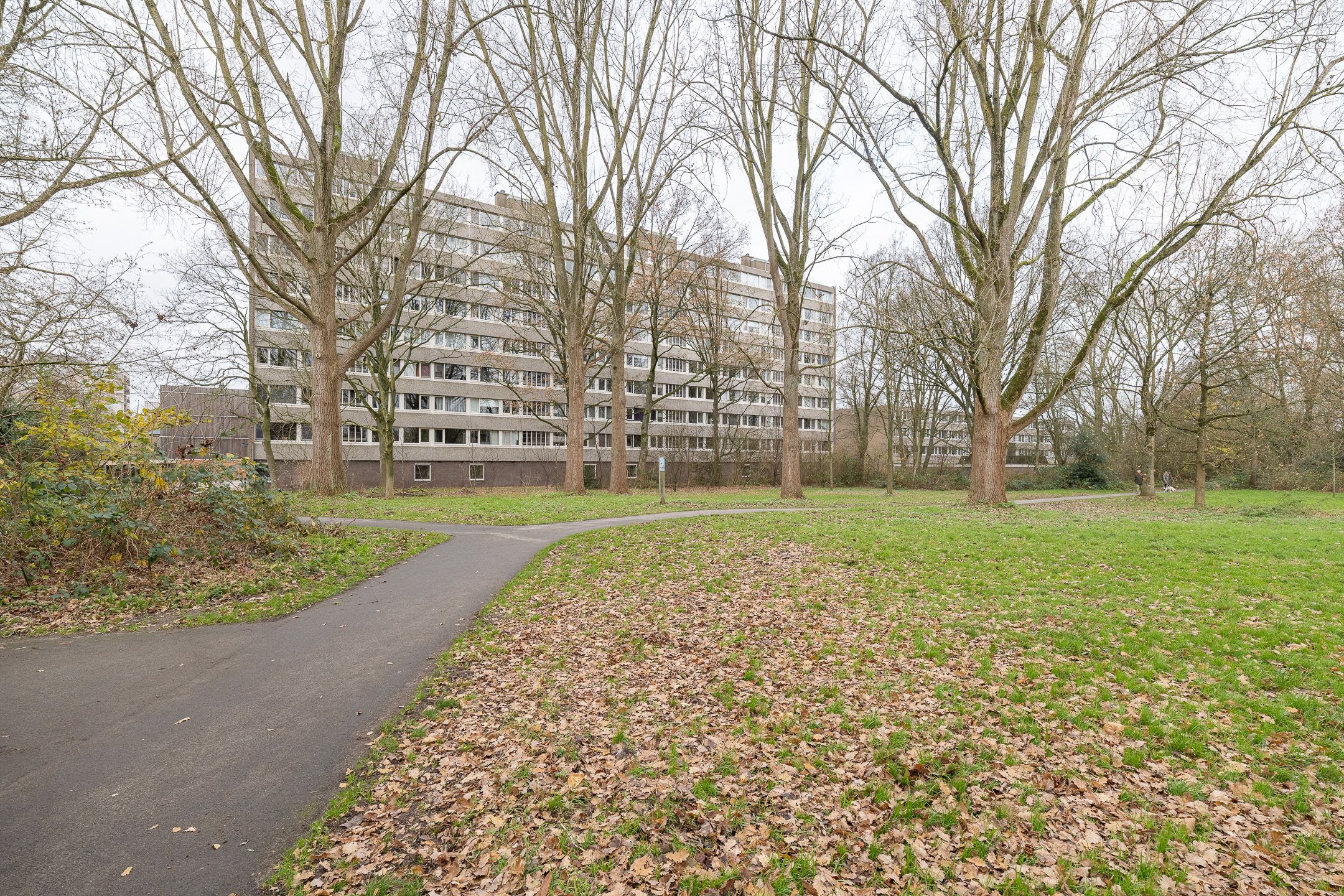 Foto van Spreeuwenstraat 113, Amersfoort