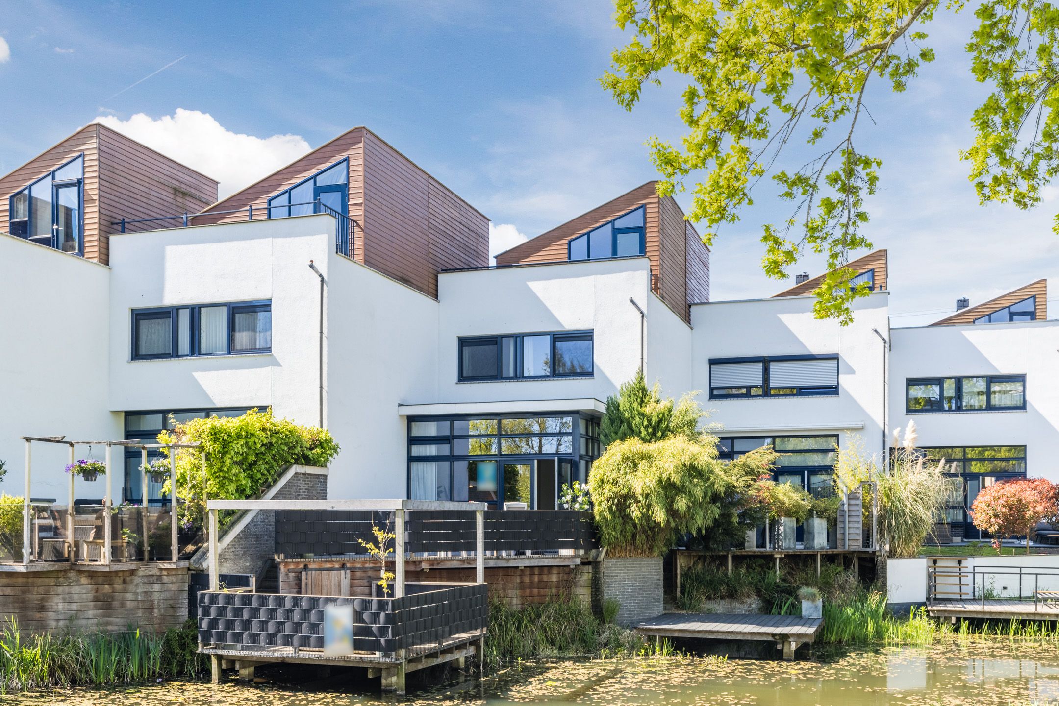 Foto van Kamsalamander 9, Amersfoort