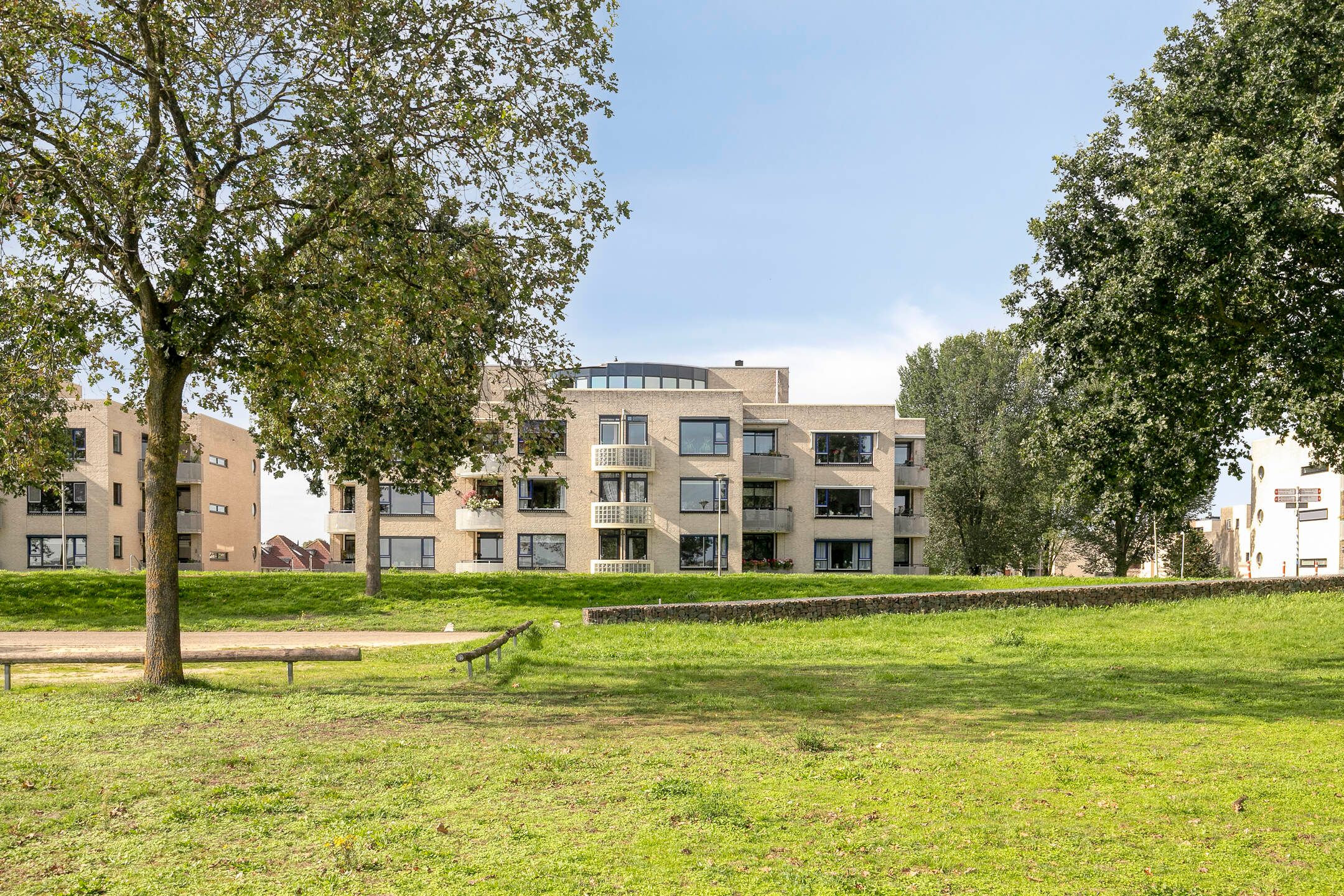 Foto van Sterrekruid 105, Zeewolde