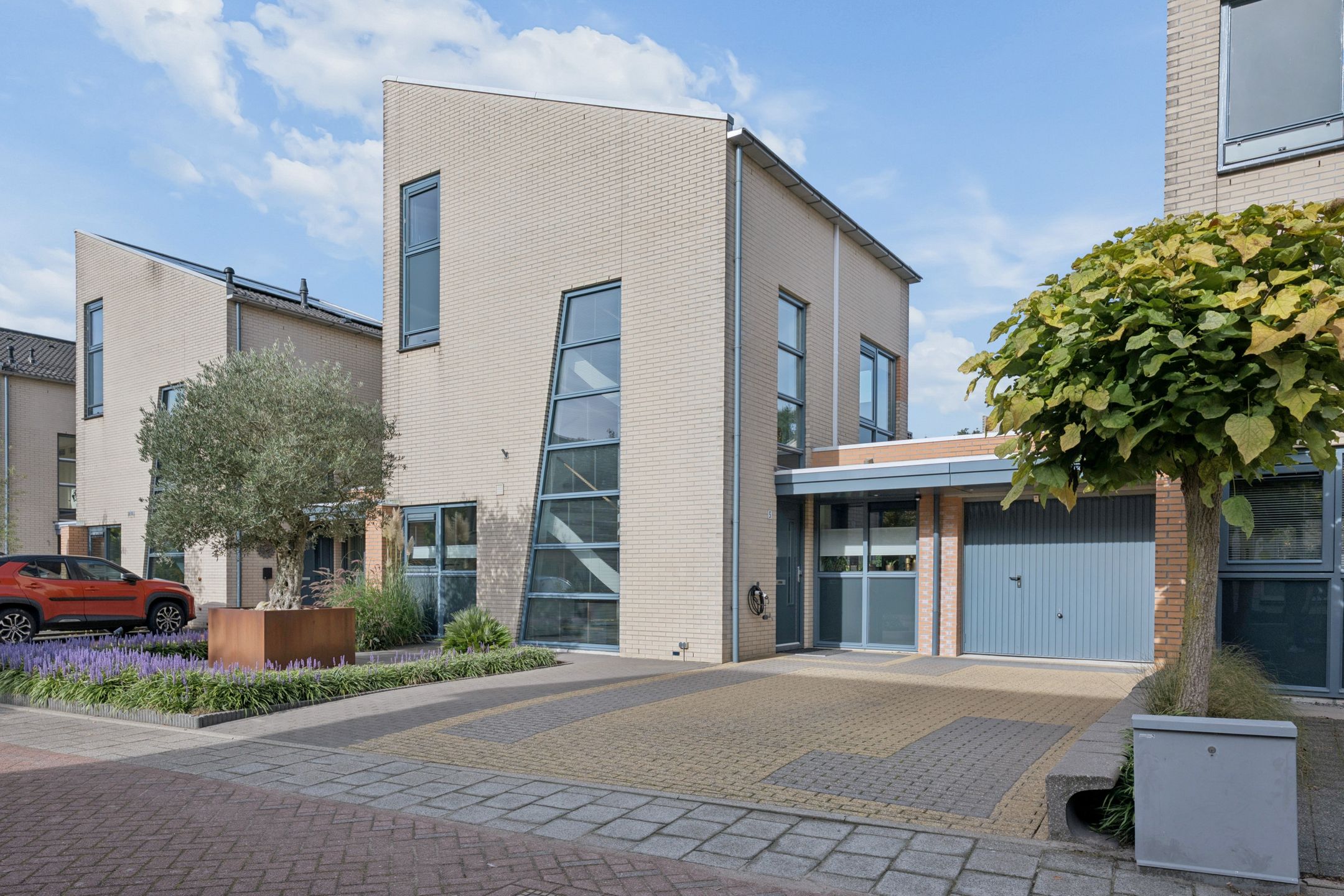 Foto van Berkenzwam 5, Veenendaal