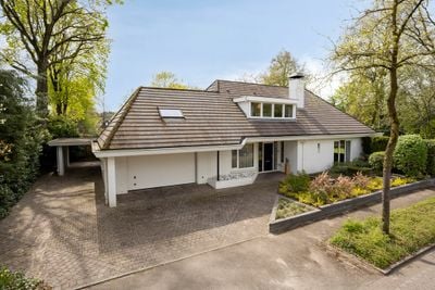 Foto van Zilvermos 2, Veenendaal