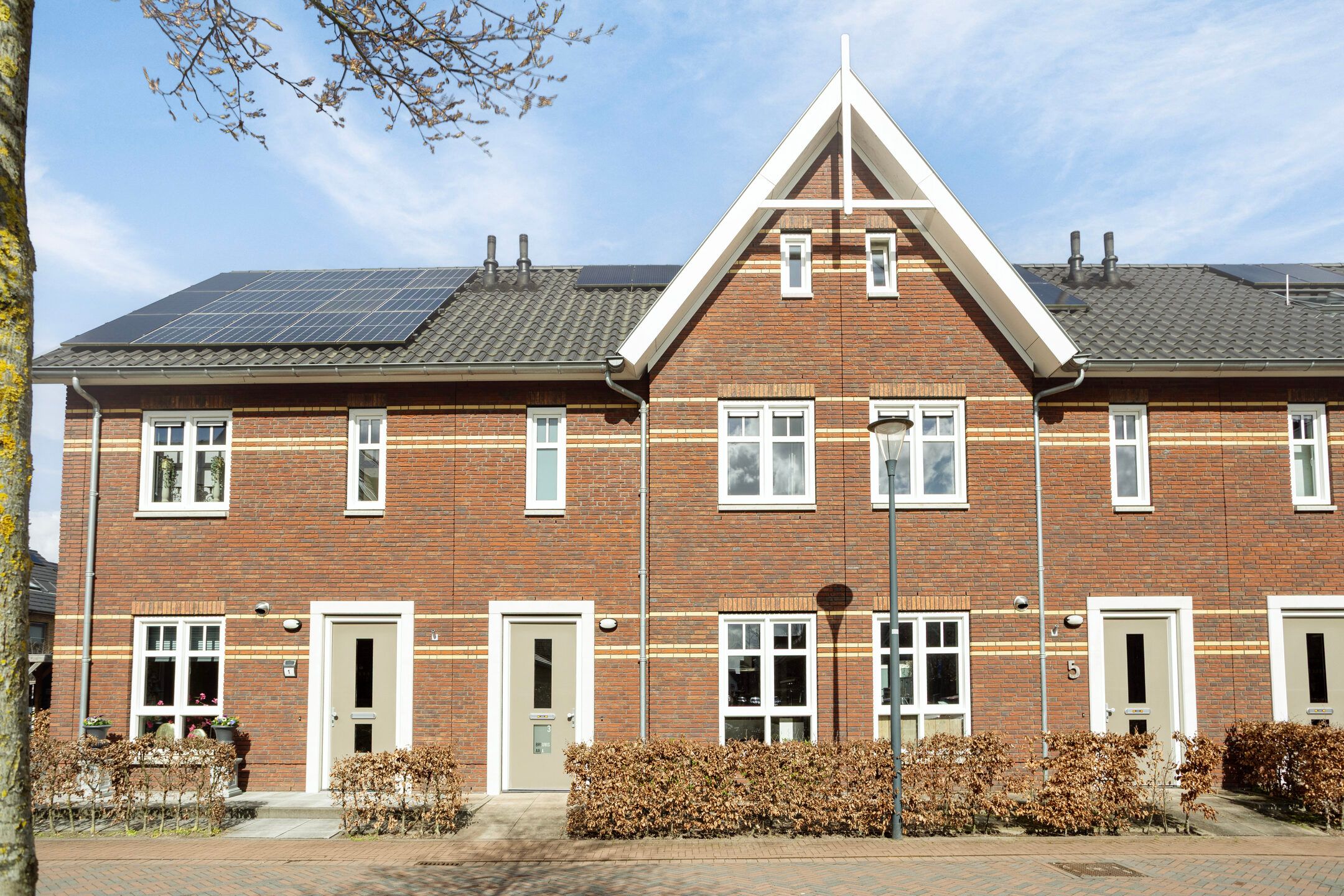 Foto van Aalscholver 3, Veenendaal