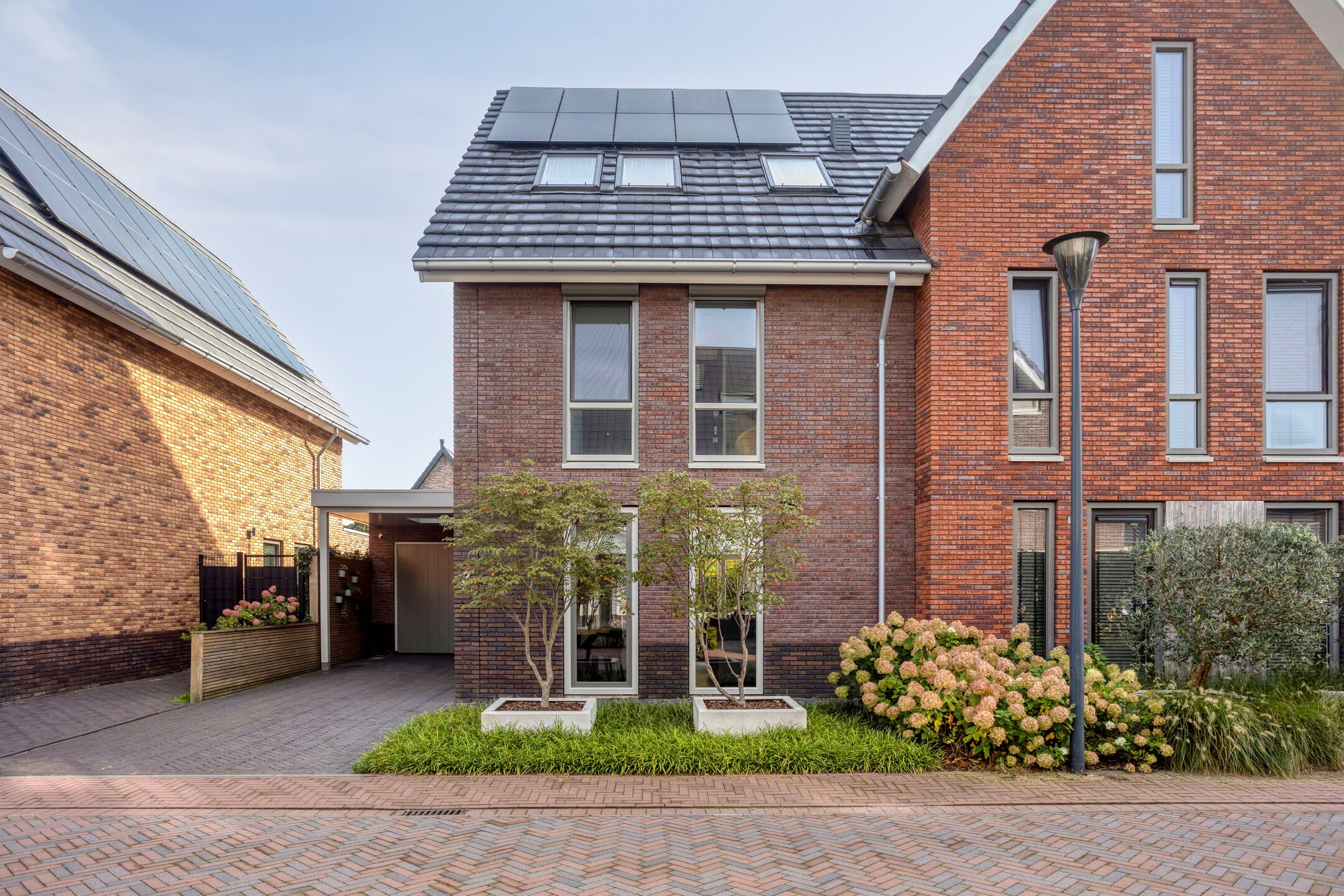 Foto van Waterlelie 3, Veenendaal