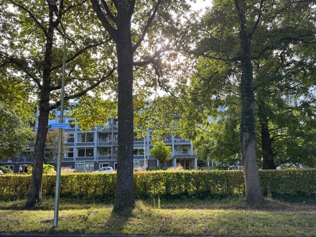 Foto van Beukenhorst 35, Driebergen-Rijsenburg