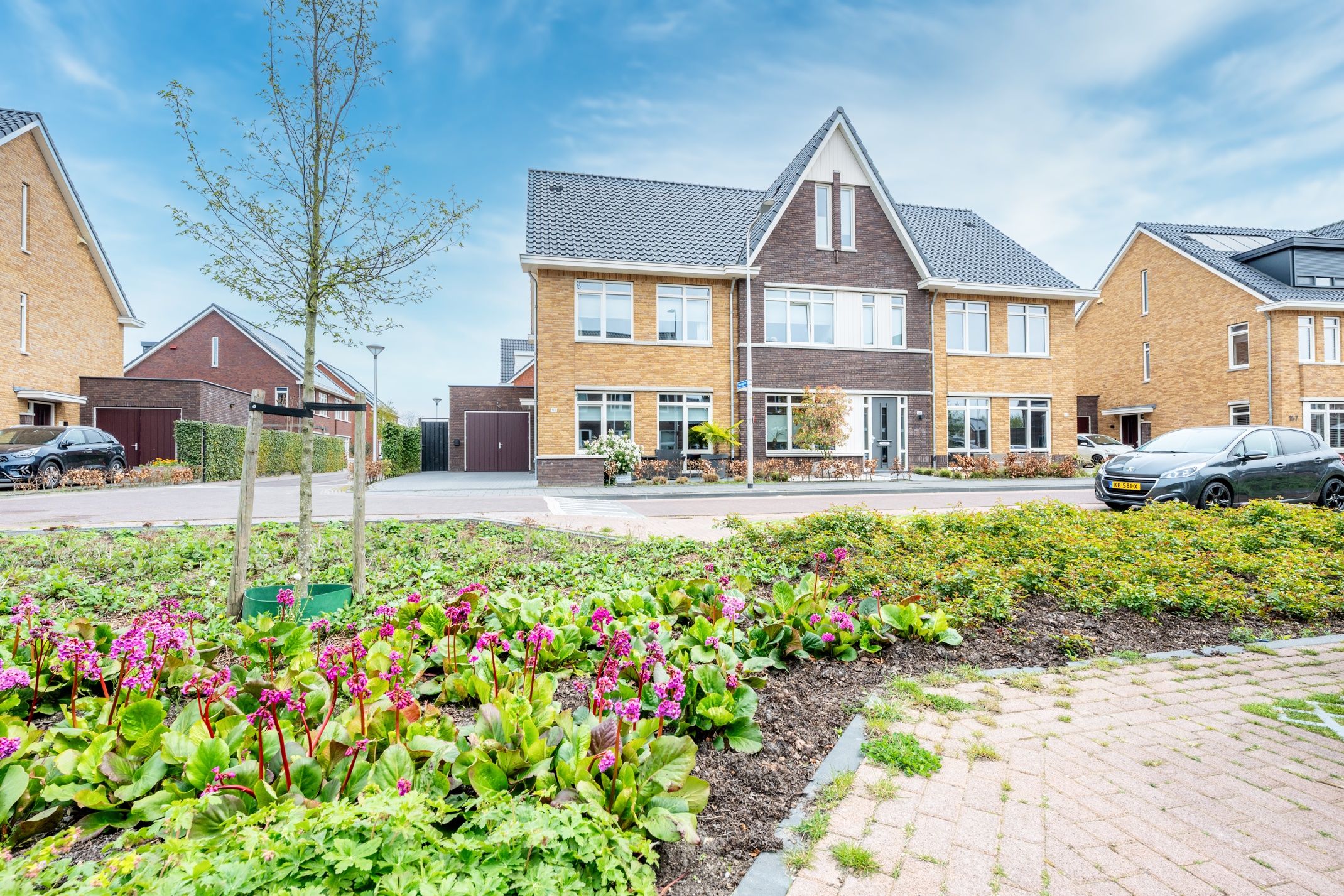 Foto van Kamgras 163, Houten