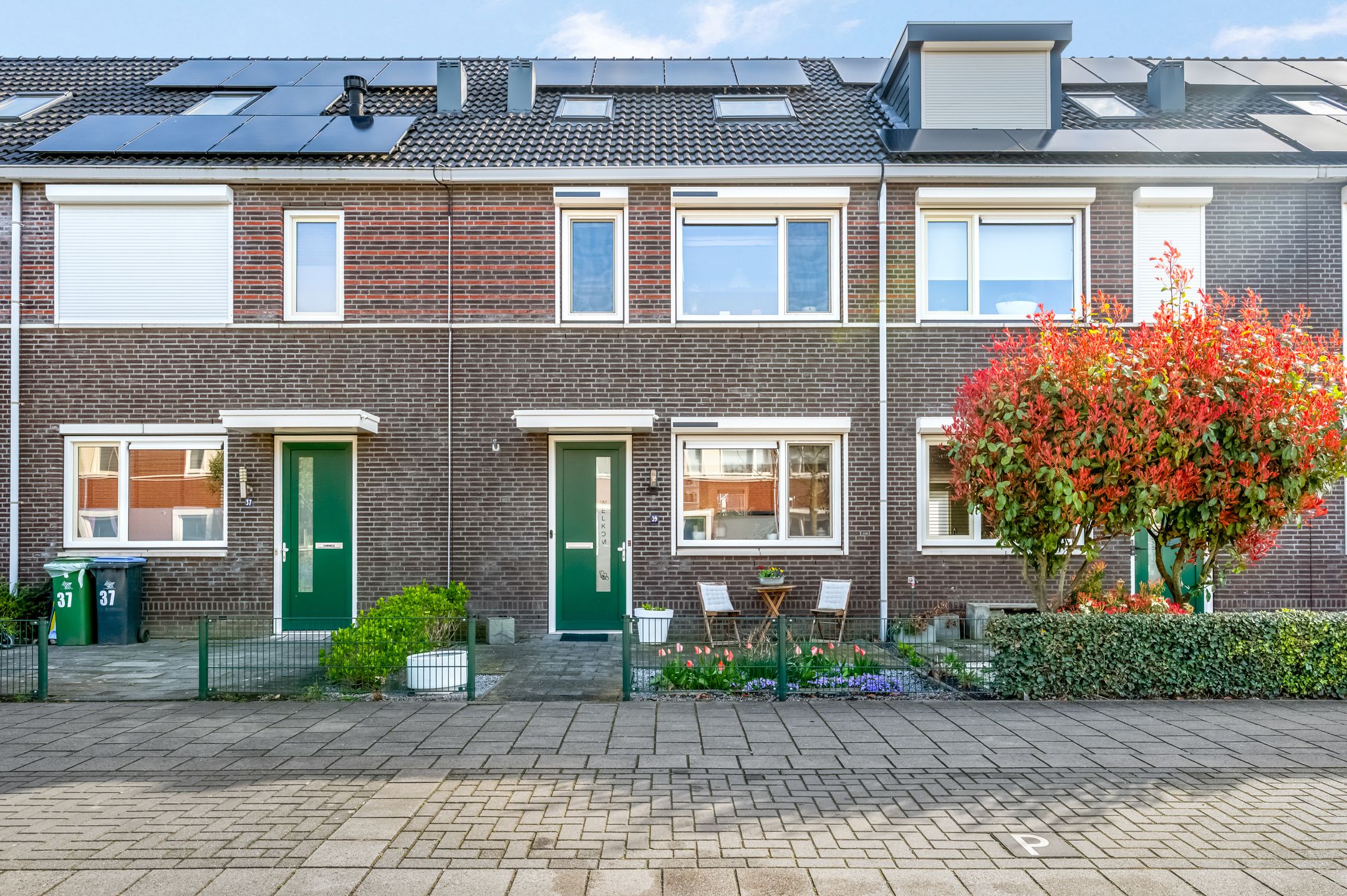 Foto van Aardbeivlinder 39, Tiel