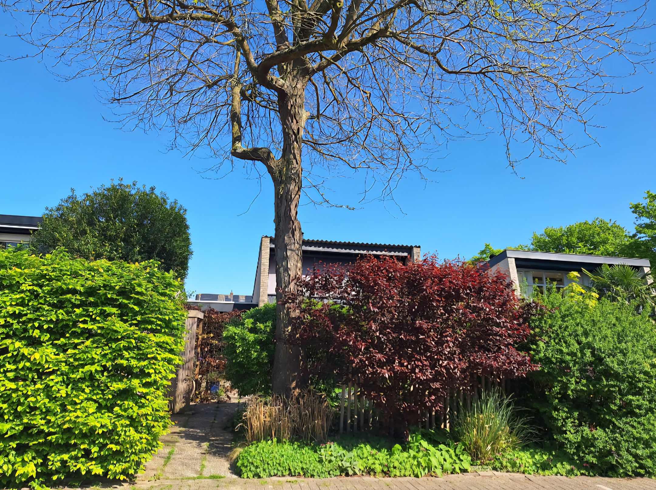 Foto van Buizerdstraat 12, Leerdam