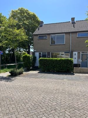Foto van de Lelie 26, Brouwershaven