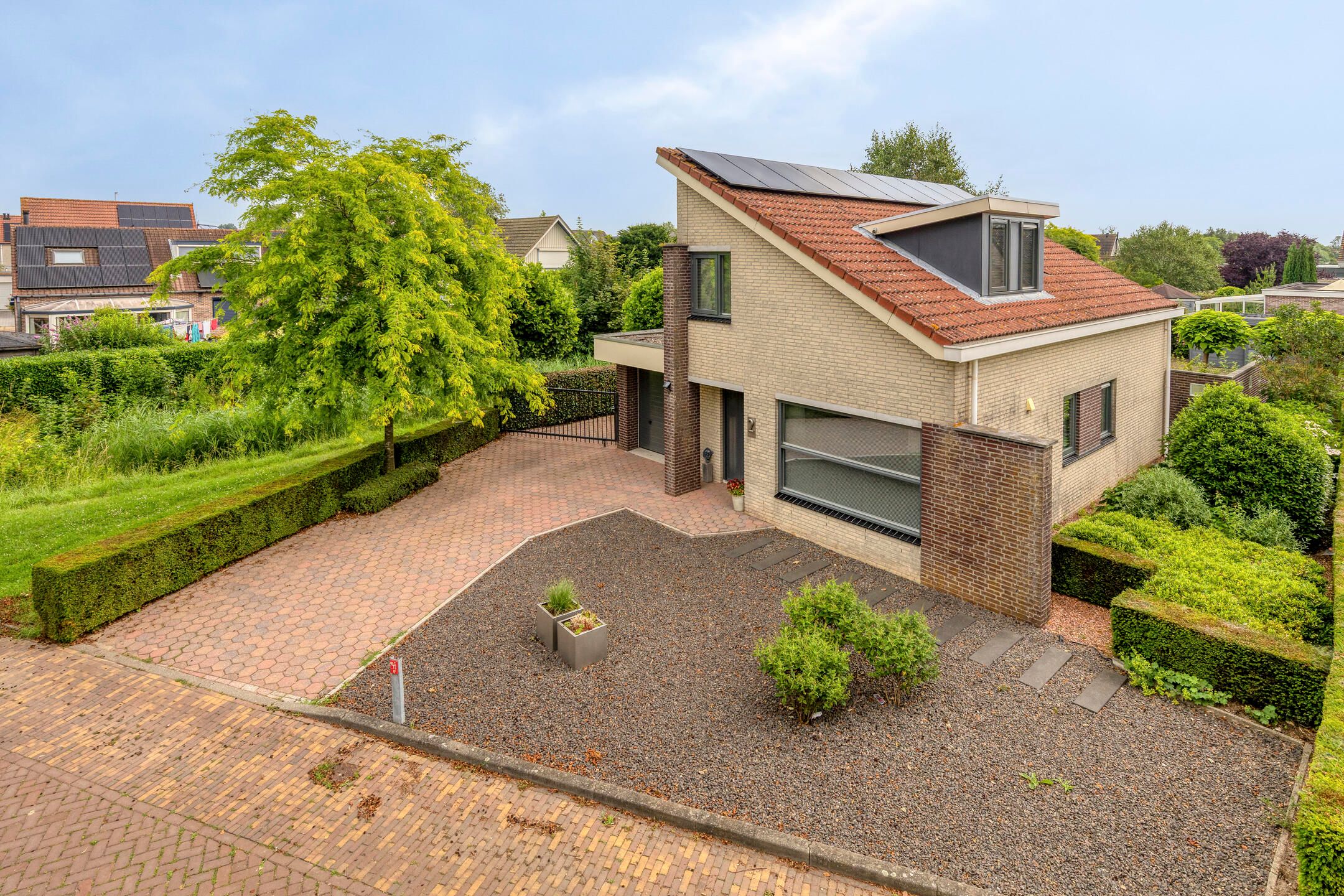 Foto van Oeverzwaluw 2, Rilland