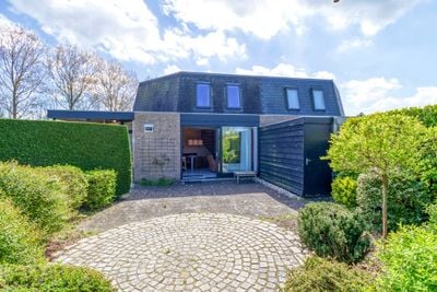 Foto van Liguster 77, Nieuwvliet