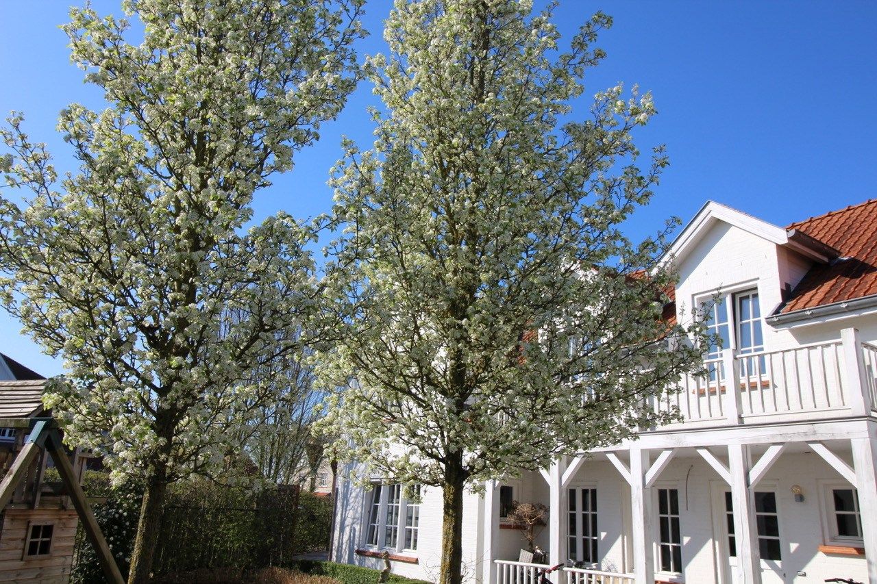 Foto van Groenevelt 12, Sluis