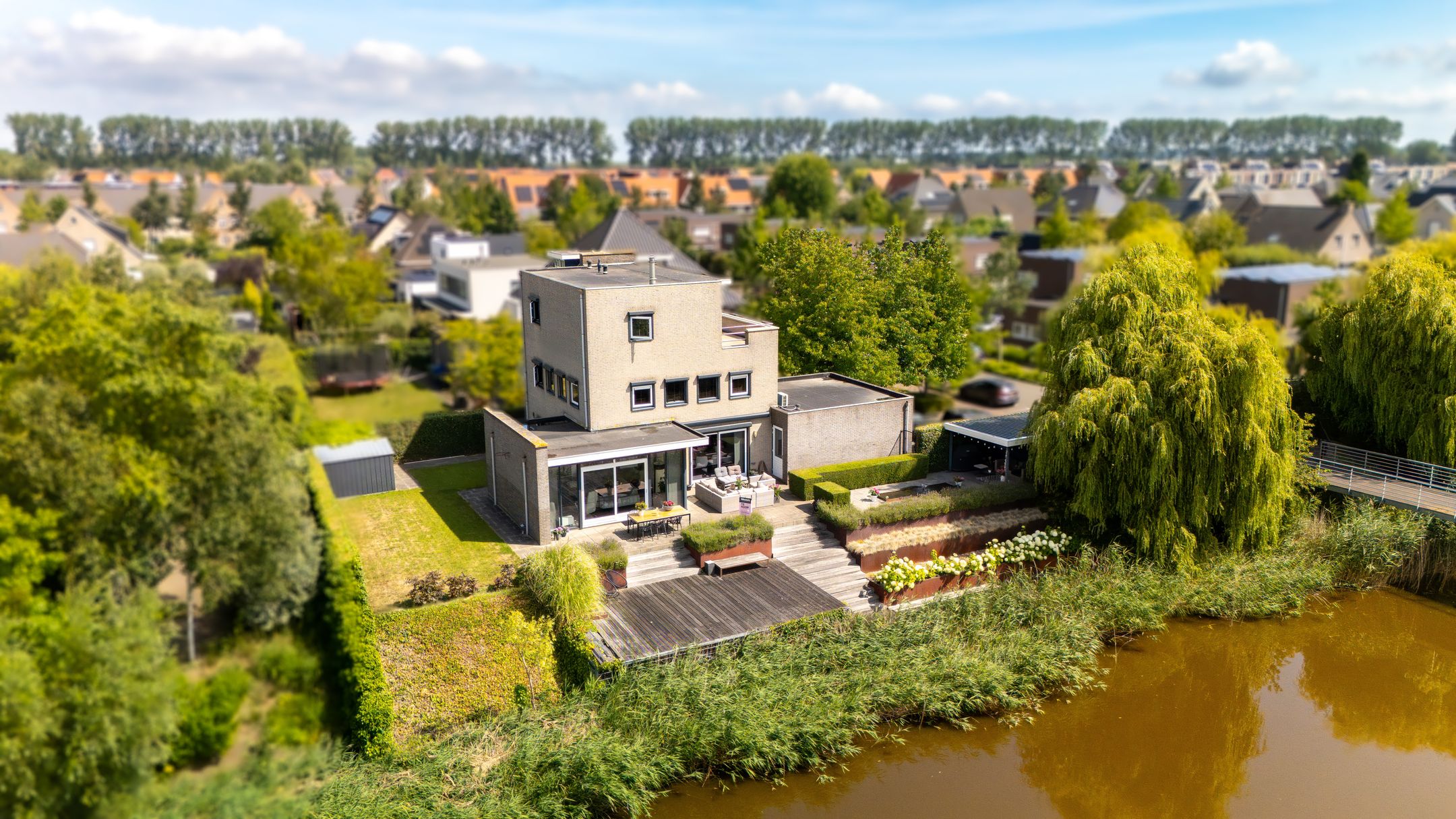 Foto van Buizerd 11, Terneuzen