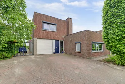 Foto van Buizerd 2, Terneuzen