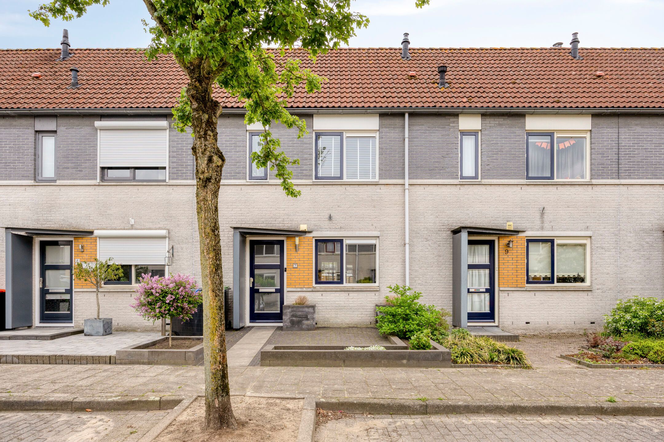 Foto van Wintertaling 7, Bergen op Zoom