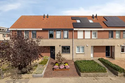 Foto van Grauwe Gans 62, Bergen op Zoom