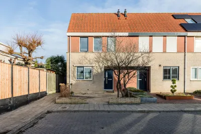 Foto van Grauwe Gans 64, Bergen op Zoom