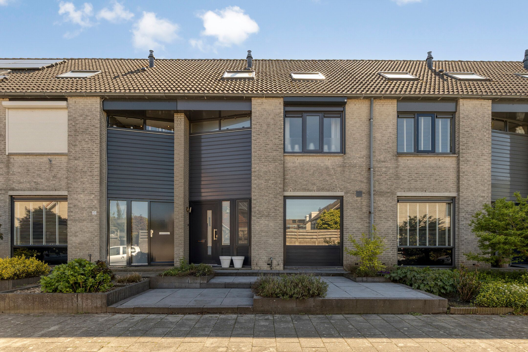 Foto van Kokmeeuw 8, Bergen op Zoom