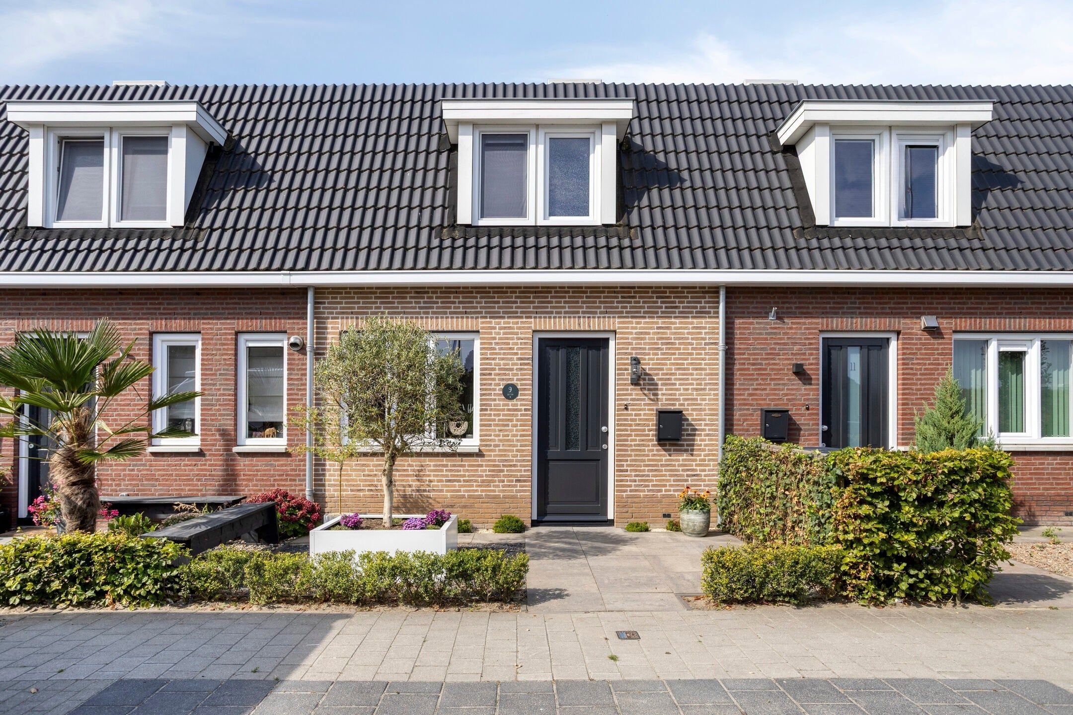 Foto van Bezaan 9, Sint-annaland
