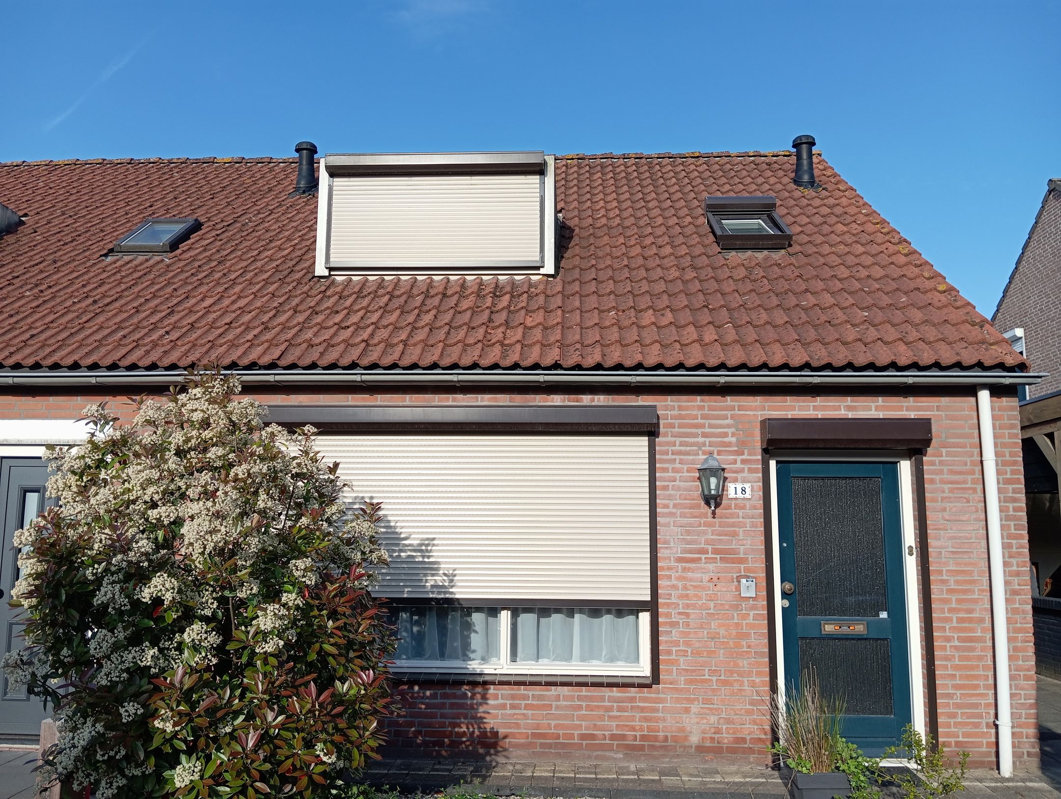 Foto van Wilgenrijs 18, St. Willebrord