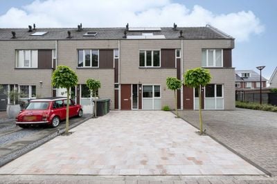 Foto van Steenuil 4, Bosschenhoofd