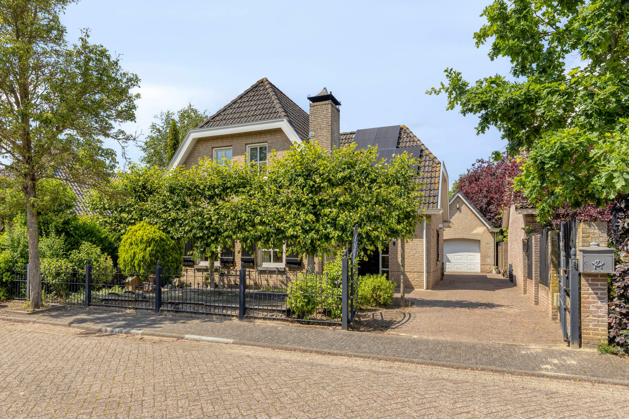 Foto van Bieslook 2, Oud Gastel