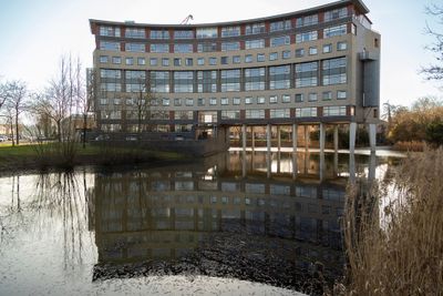 Foto van Argusvlinder 123, Breda