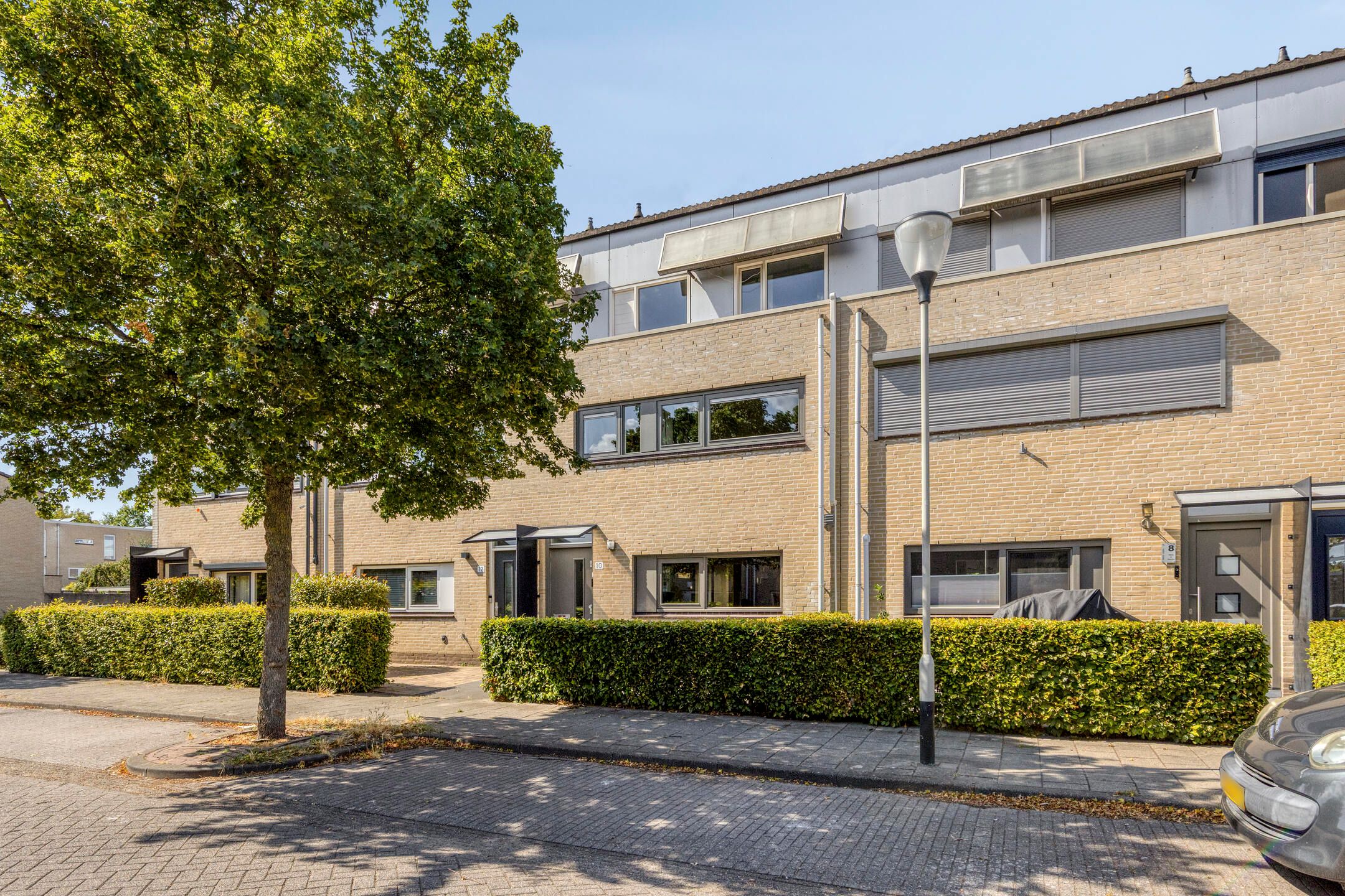 Foto van Distelvlinder 10, Breda