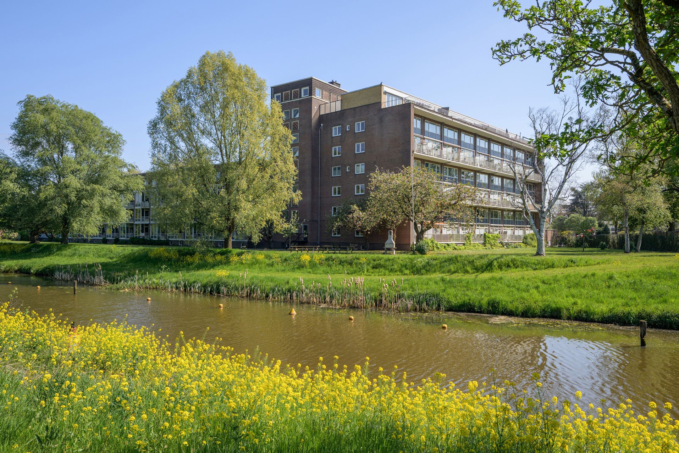 Foto van Jan Nieuwenhuyzenstraat 40A, Breda