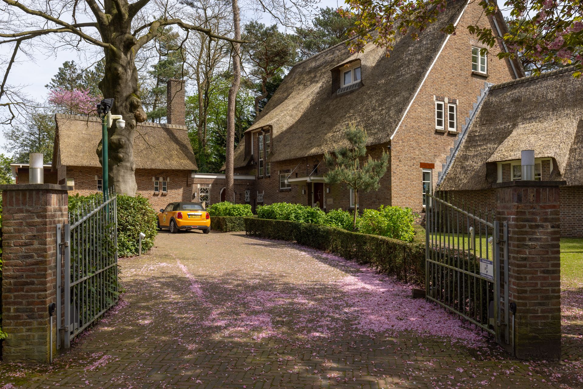 Foto van Montenspark 1, Breda