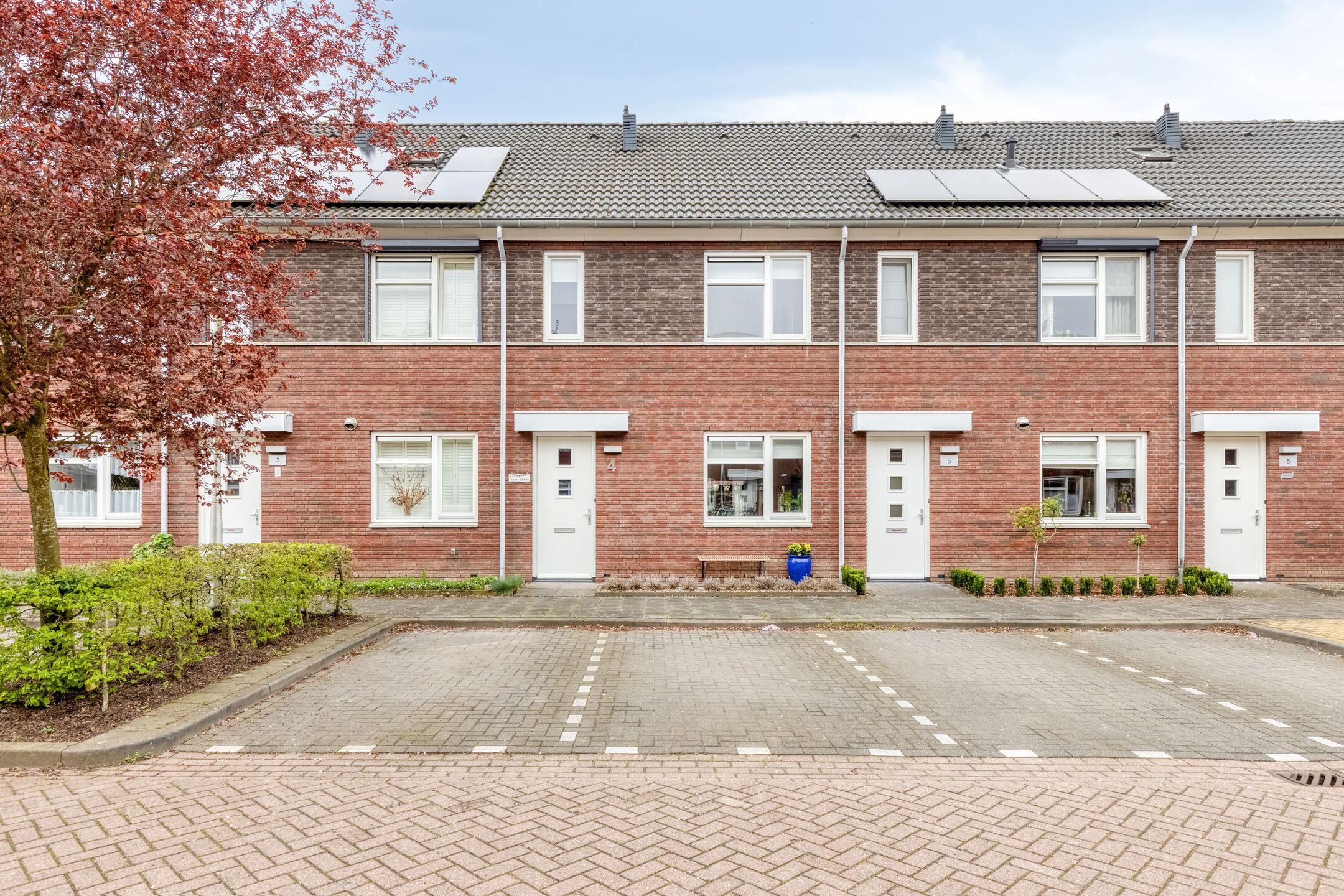 Foto van Paarl 4, Tilburg