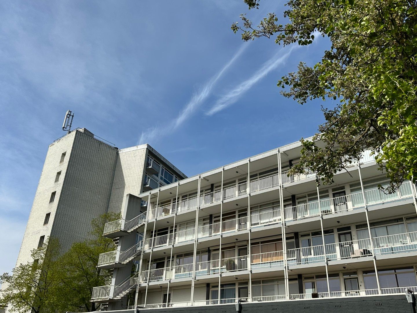 Foto van Daniël Josephus Jittastraat 163, Tilburg