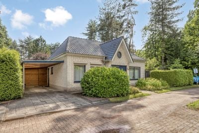 Foto van Schaluinen 11B371, Baarle-nassau