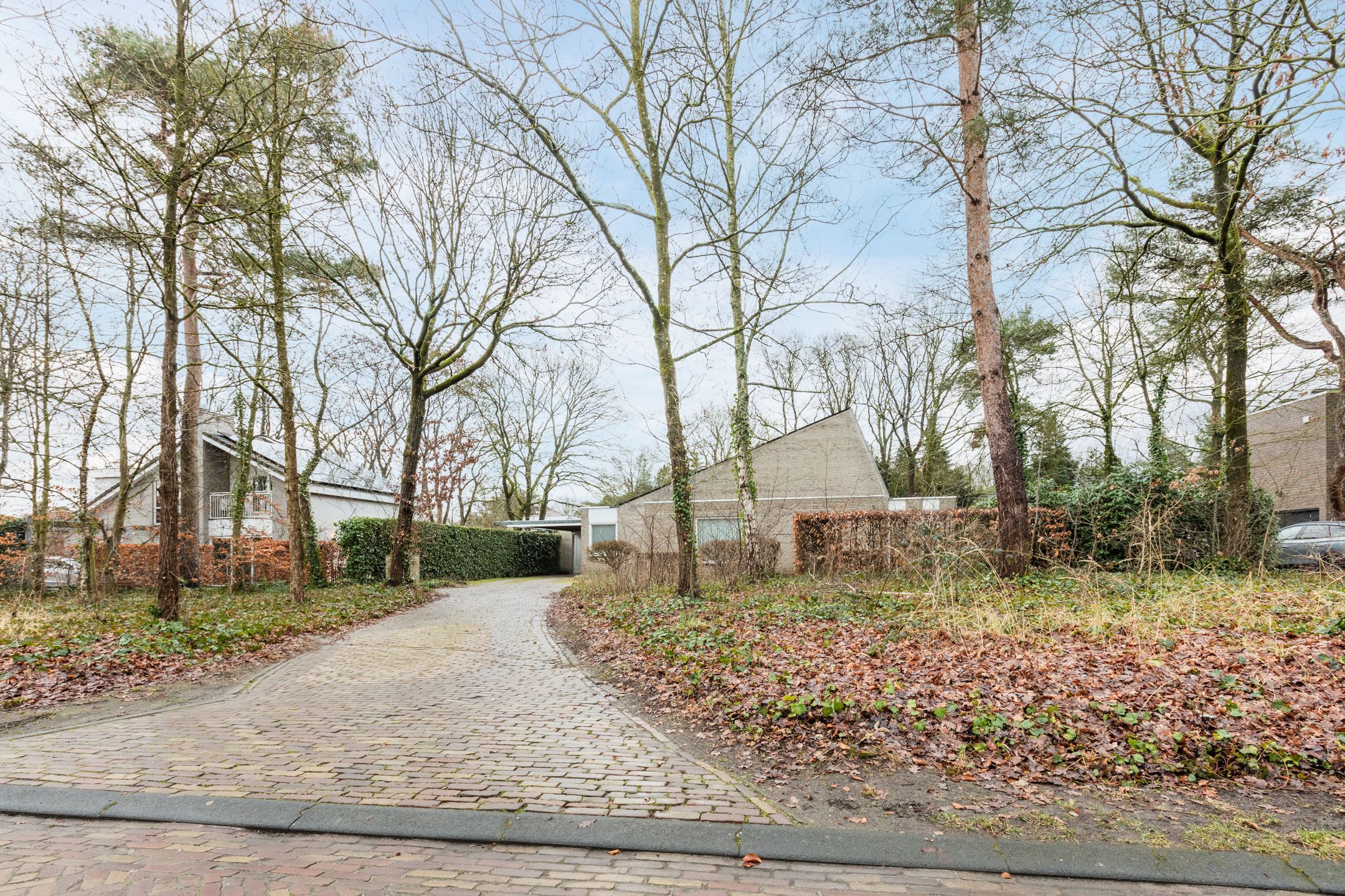 Foto van Atalanta 30, Rijen