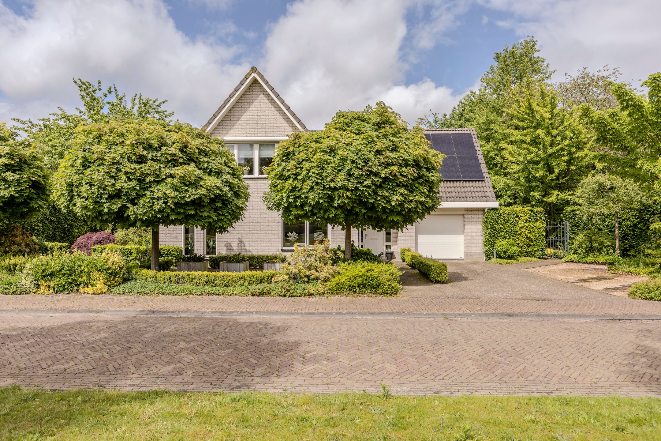 Foto van Dagpauwoog 7, Rijen